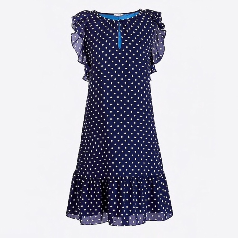 NWT J. Crew Blue Polka Dot Dress
